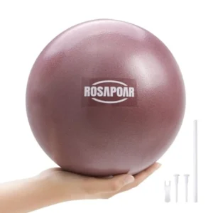 9 Inch Mini Exercise Ball